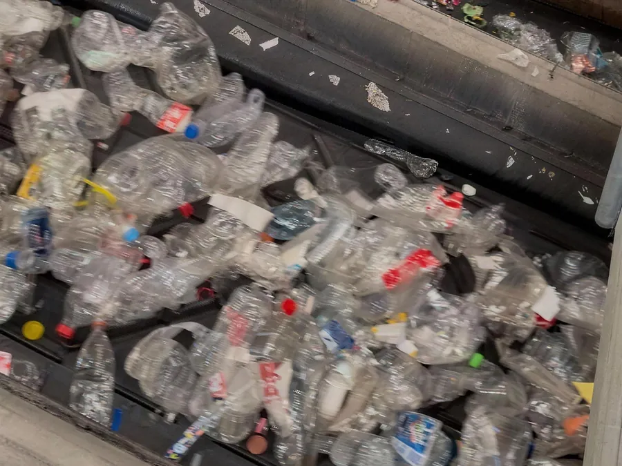 Botellas de PET en la banda de reciclaje