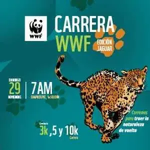 Convocatoria de Carrera WWF Edición Jaguar 2026